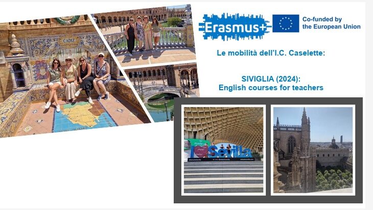 erasmus 11