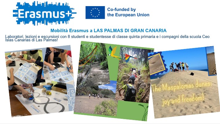 erasmus 4